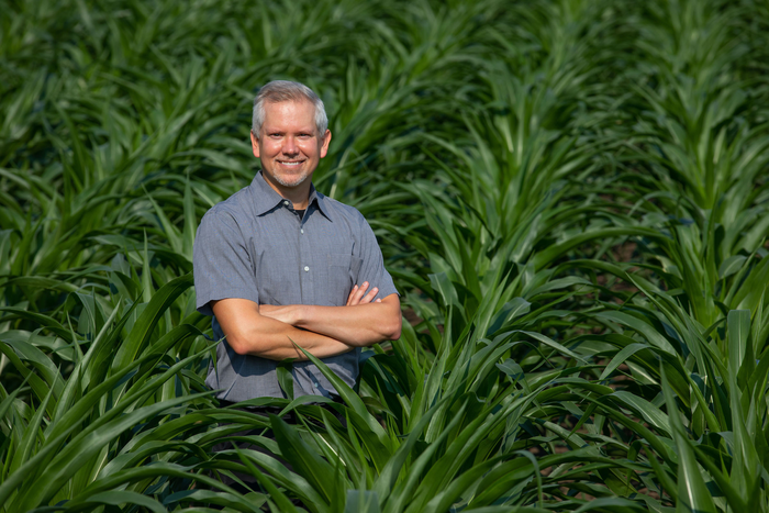 New study highlights the genetic diversity of corn.