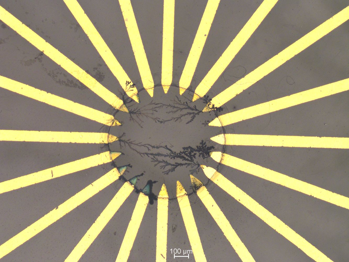 Implantable AI system may help catch disease early.