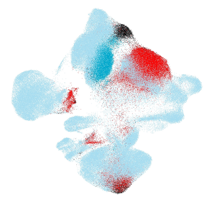 AI can spot a single diseased cell.