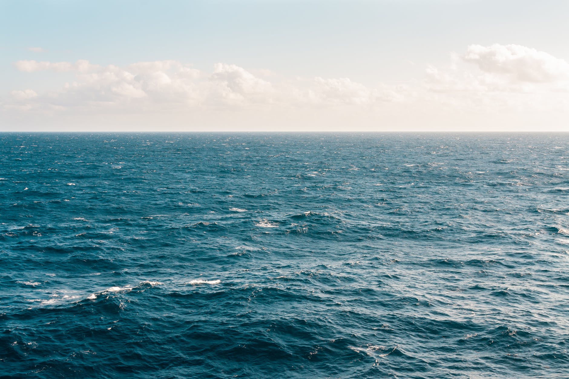 Study claims up to 95% of ocean surface climates may disappear by 2100.