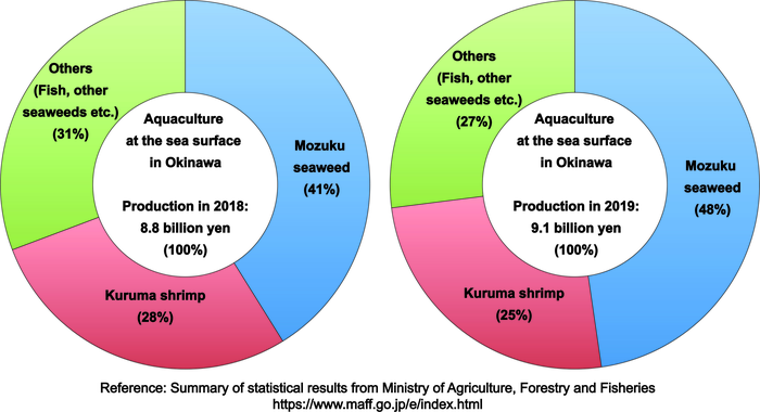 Scientists explore shrimp delicacy’s genetics.