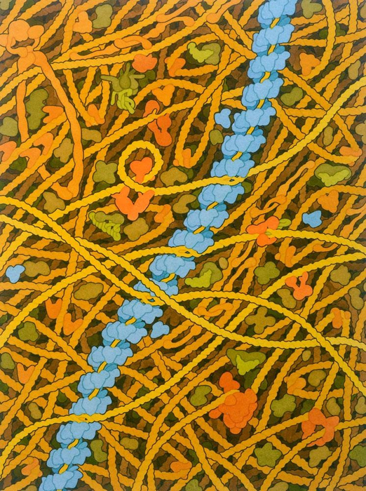 How DNA search for sister strands when repair is needed