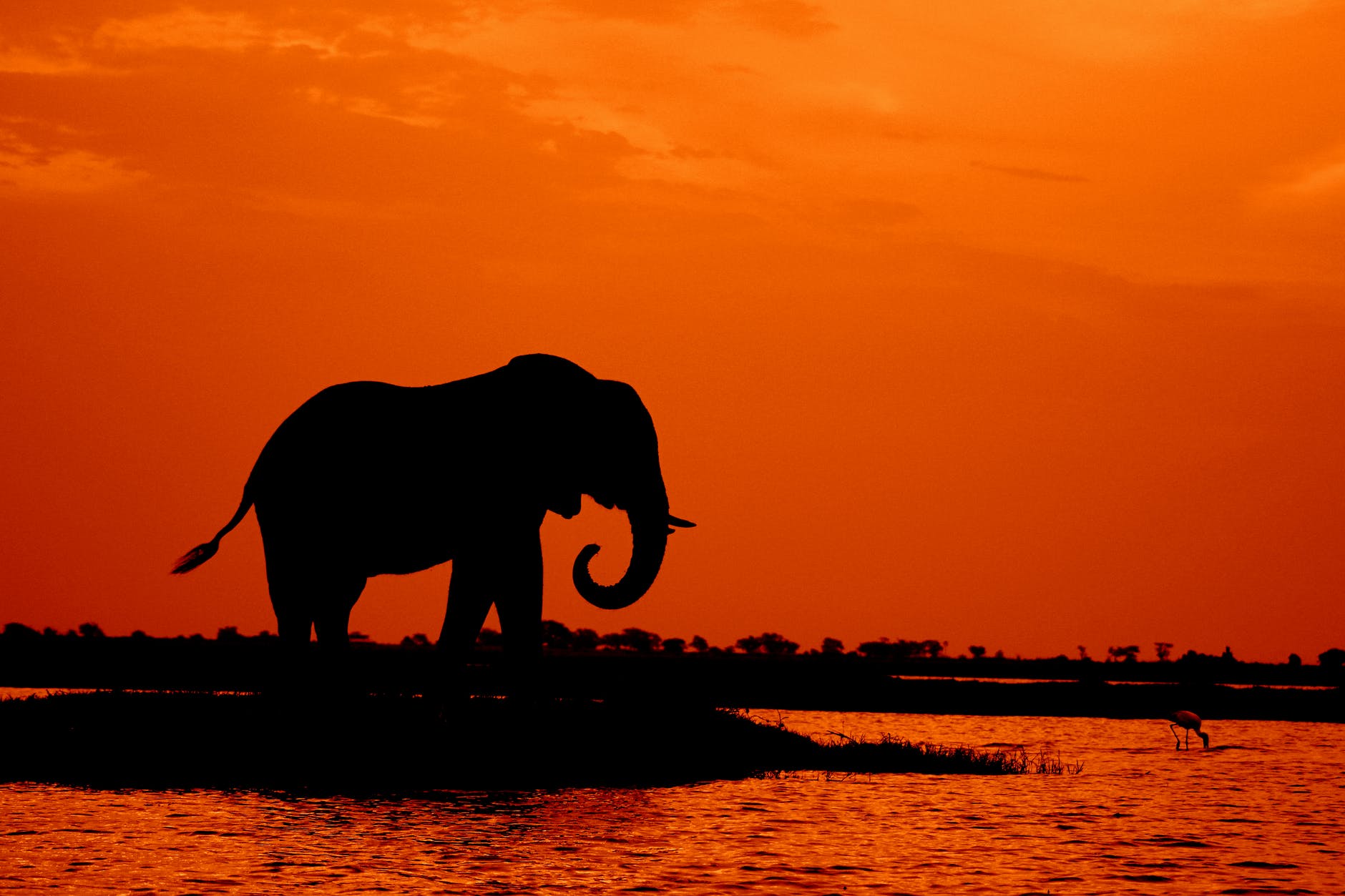 Ancient humans got pretty creative with elephant bones.