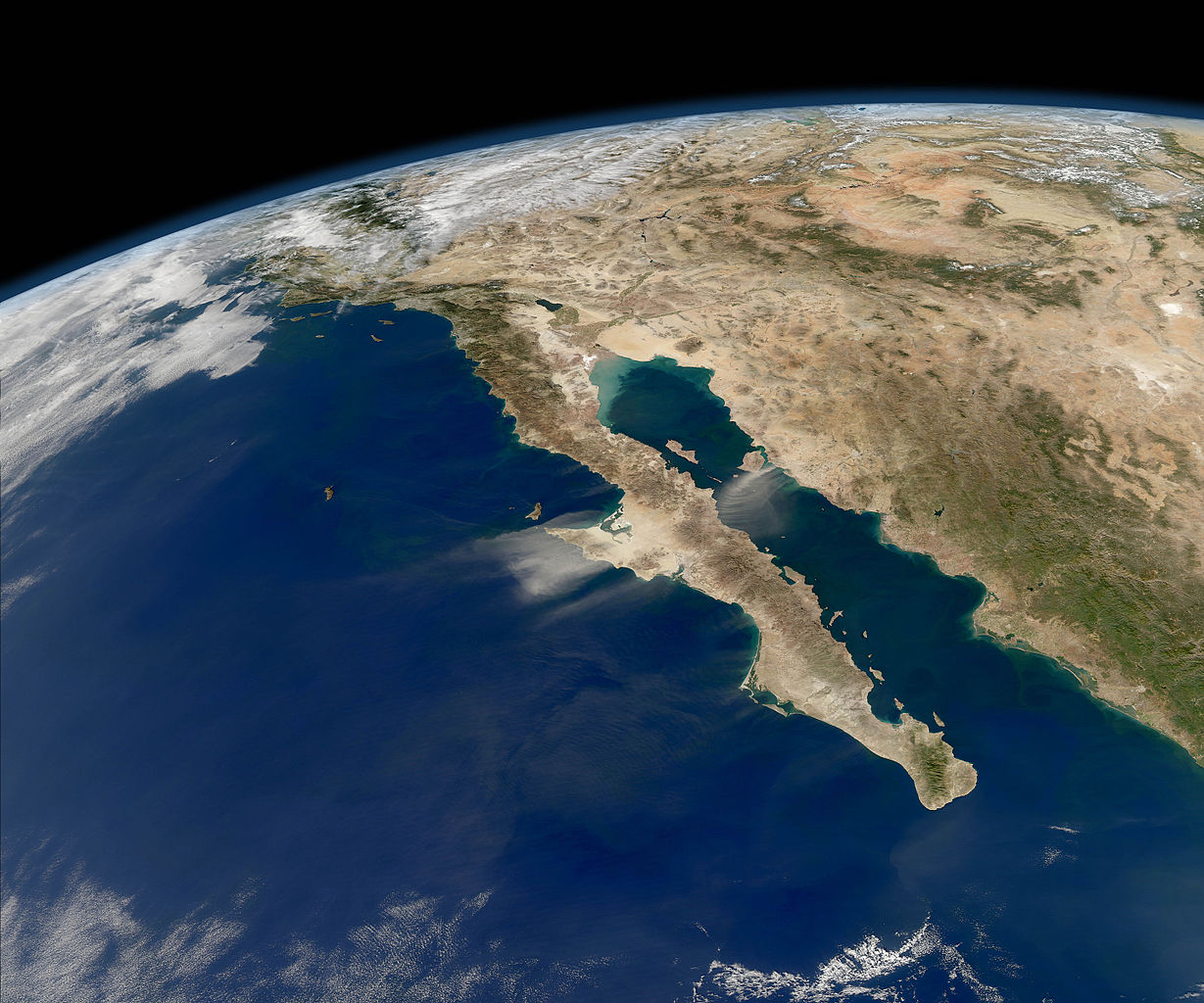 DAILY DOSE: Nobel Prize in Medicine awarded to touch scientists; Questions about an oil spill in California waters.