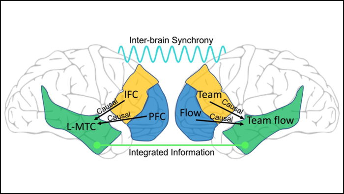 When a team is performing well, their brain states match.