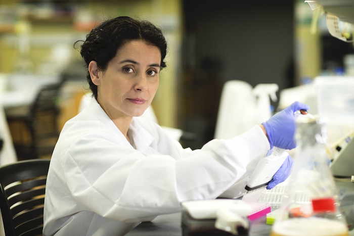 Discovery of 14 obesity genes could decouple overeating from harmful health effects.