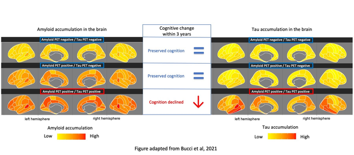 Early accumulation of tau in the brain predicts memory decline in Alzheimer’s disease.