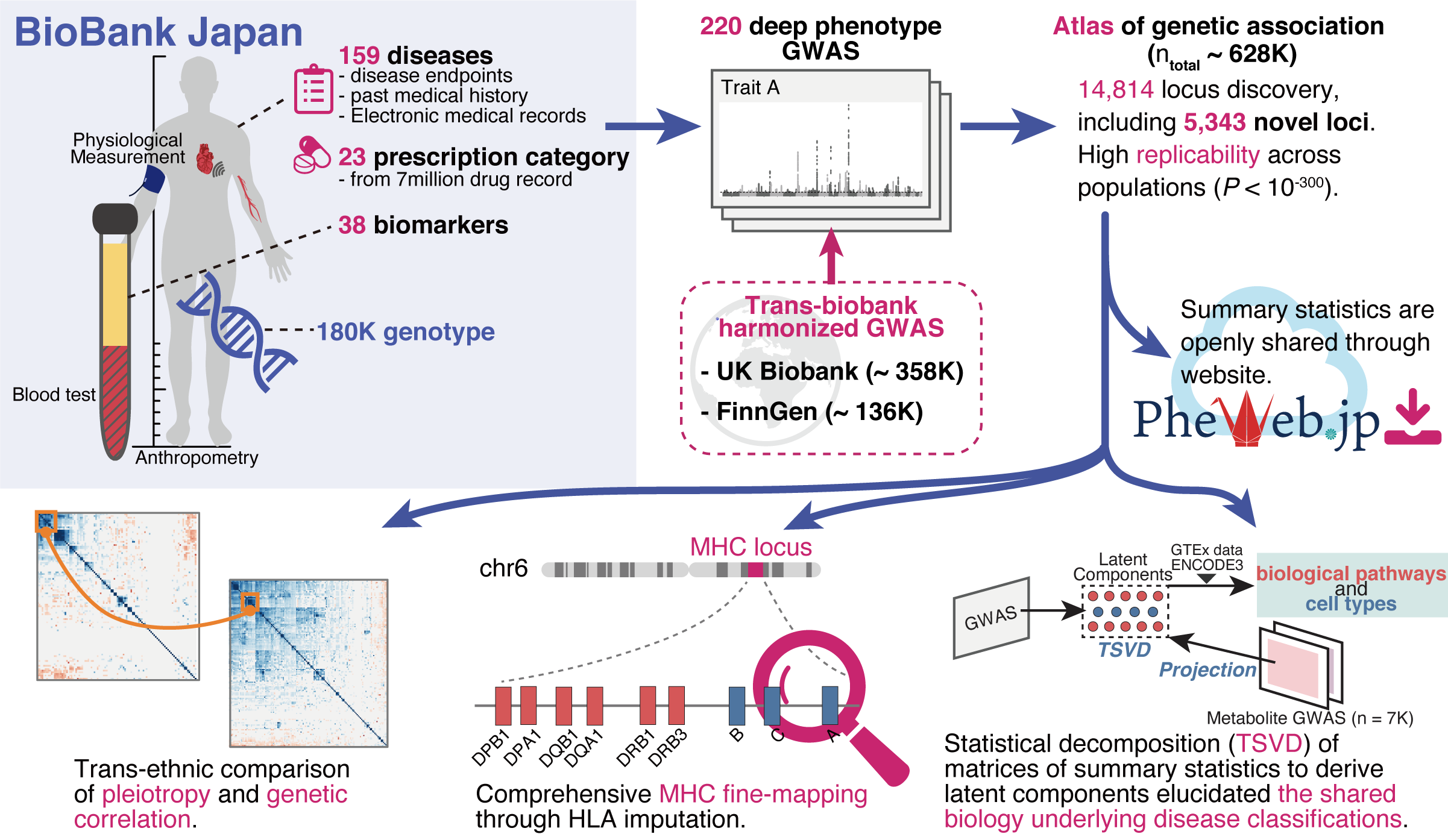 Redefining human diseases through the lens of your DNA.