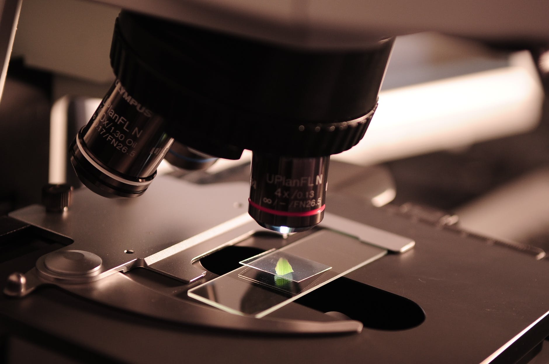 THREADS: Fashion company turns to biotech for beauty.