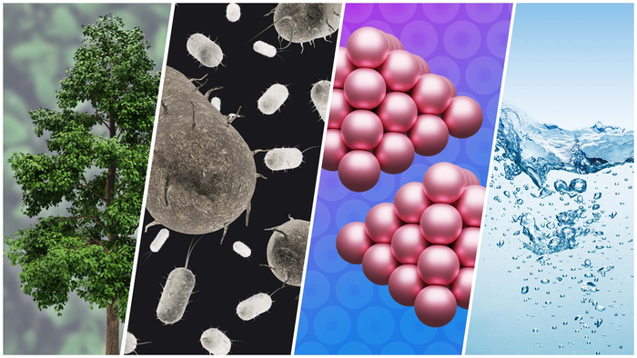 Microbes can provide sustainable hydrocarbons for the petrochemical industry.