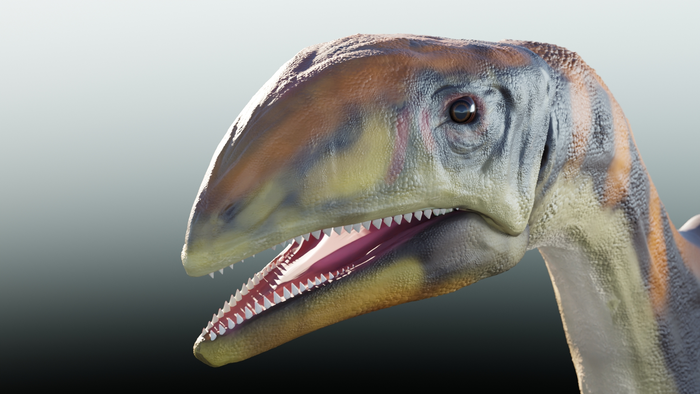 Researchers discover first dinosaur species that lived on Greenland 214 million years ago.