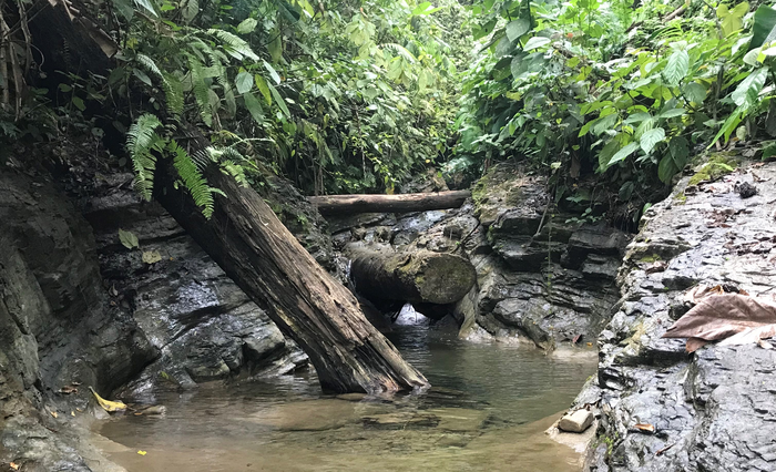 ‘Mantle wind’ blows through slab window beneath Panama.
