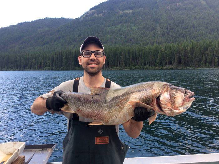 Montana Lake study reveals how invasive species affect native food webs.