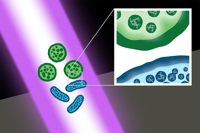 Ultrashort-pulse lasers kill bacterial superbugs, spores.
