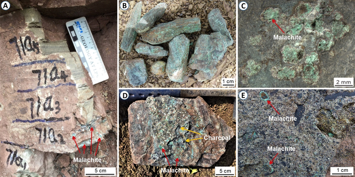 Scientists identify new force behind past mass extinction event.