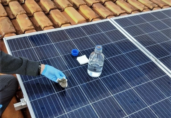 Photovoltaic panels are home to microorganisms with potential biotech applications.