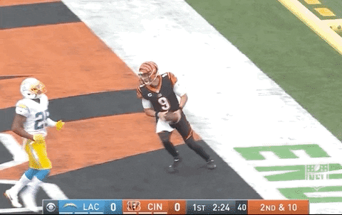 SPORTS: NFL Predictions for Week 12.