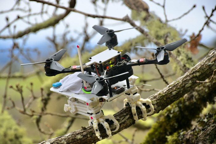 Stanford engineers create perching bird-like robot.