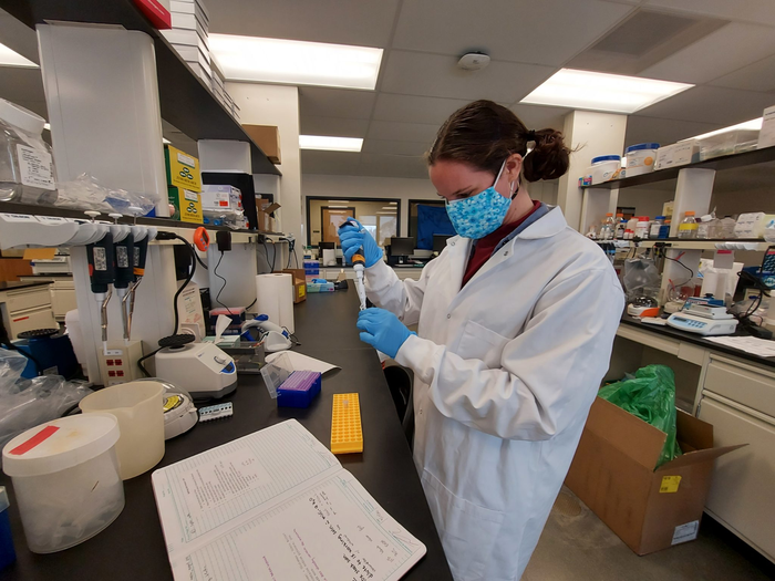 Viral evolution in animals could reveal future of COVID-19.