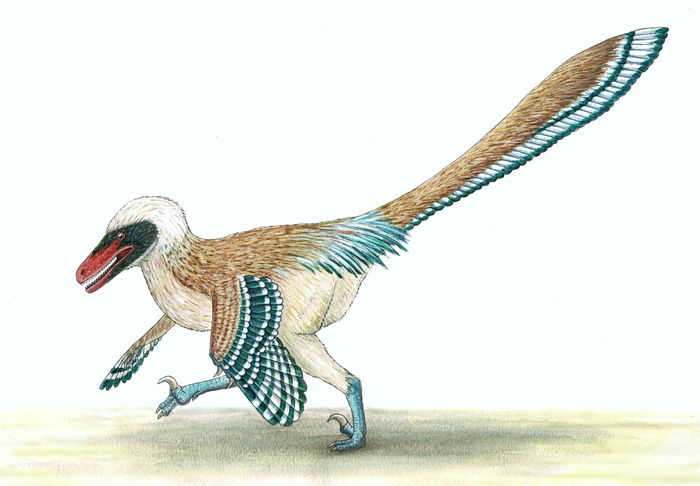An ancient relative of Velociraptor is unearthed in Great Britain.