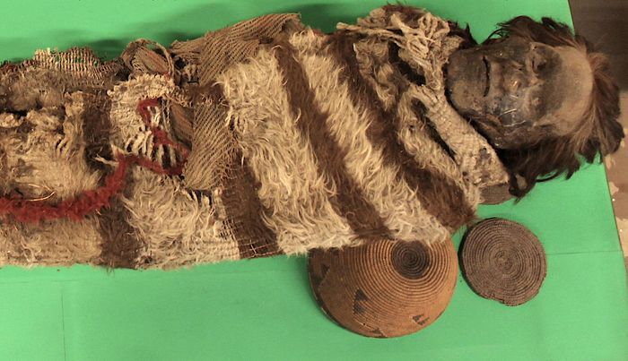 Nits on ancient mummies shed light on South American ancestry.