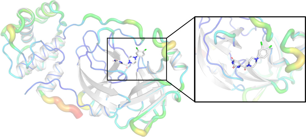 Screening study IDs inhibitor of key COVID virus enzyme.