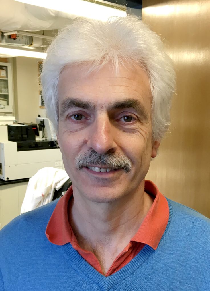 Fecal implants drive behavioral and cognitive changes in Alzheimer’s model.