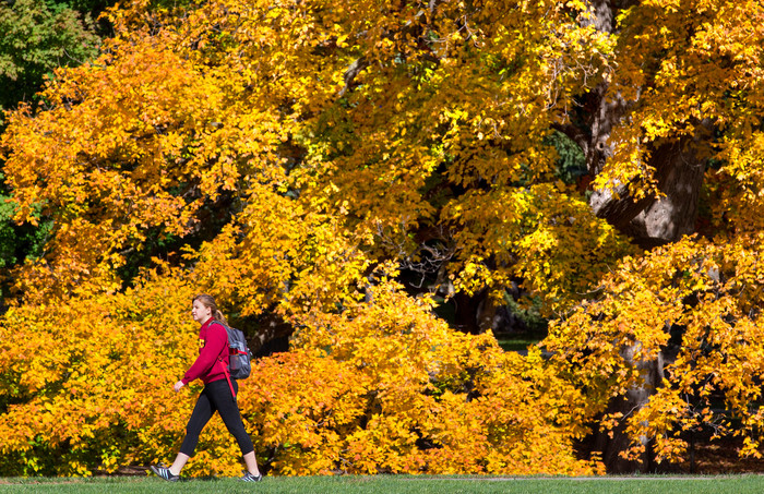 Exercise post-vaccine bumps up antibodies, new study finds.
