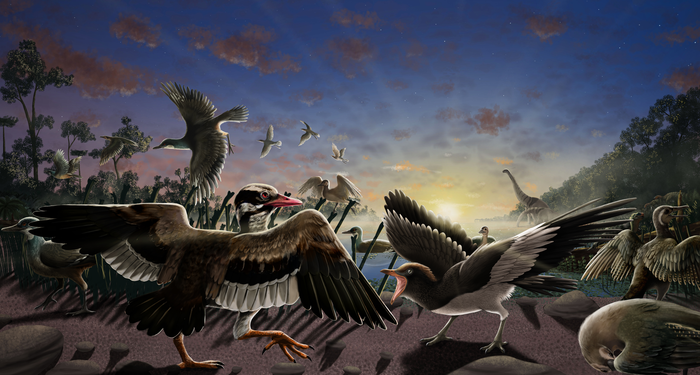 New fossil birds discovered near China’s Great Wall – one had a movable, sensitive ‘chin’.