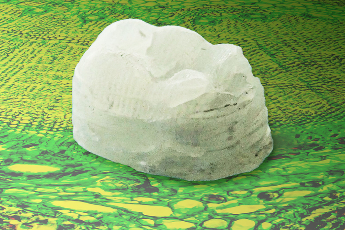 New plant-derived composite is tough as bone and hard as aluminum.