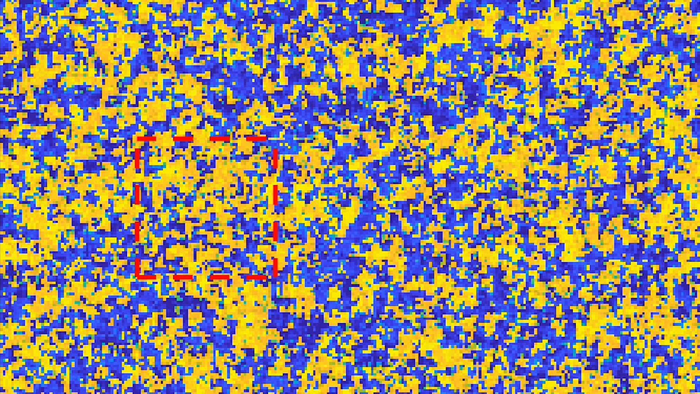 Finding structure in the brain’s static.