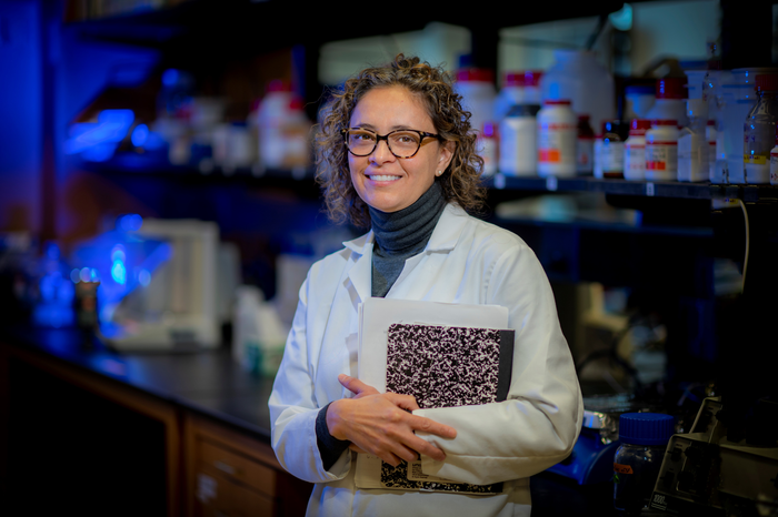 New clues about how a high-salt diet contributes to cardiometabolic diseases found deep in the brain.