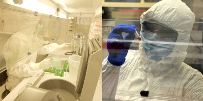 Ancient DNA confirms TB strains associated with marine mammals also found in inland peoples.