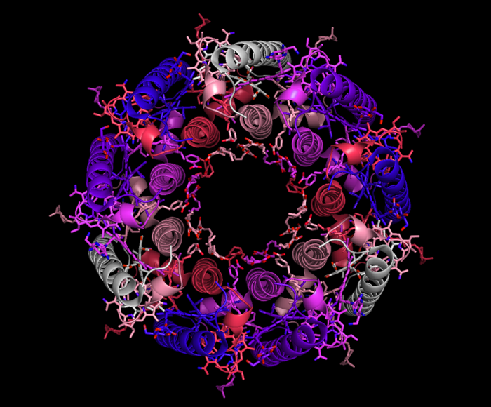 Endless forms most beautiful: Why evolution favors symmetry.