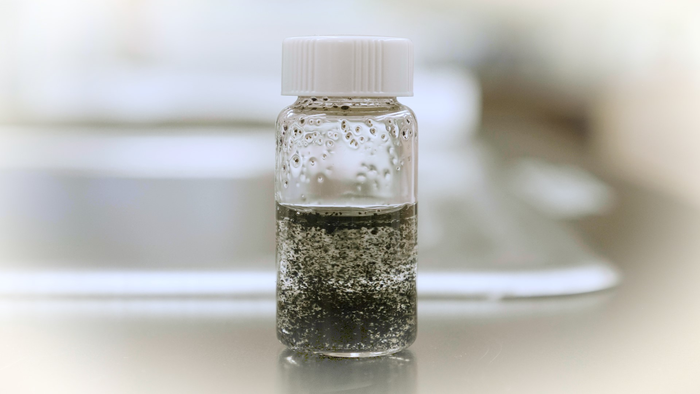 Tiny tire particles inhibit growth of organisms in freshwater, coastal estuaries, studies find.