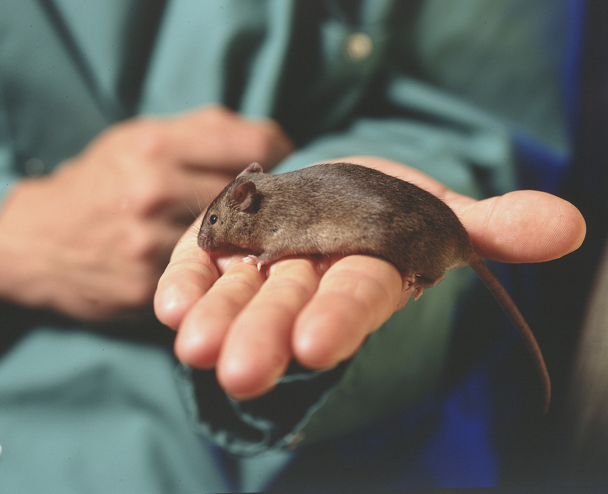DAILY DOSE: Outbreak in China shows signs of spreading; Secret deal between USDA and researchers is bad news for animals.