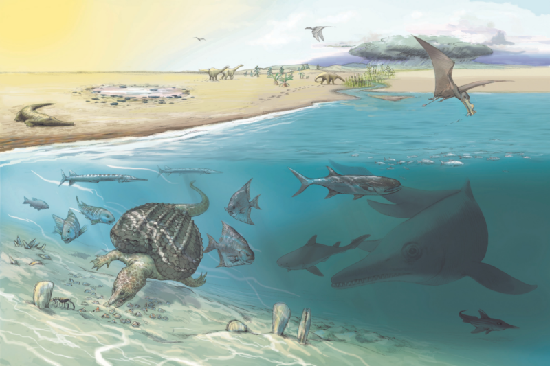Giant ichthyosaur tooth and bones could be from one of the largest animals to ever live.