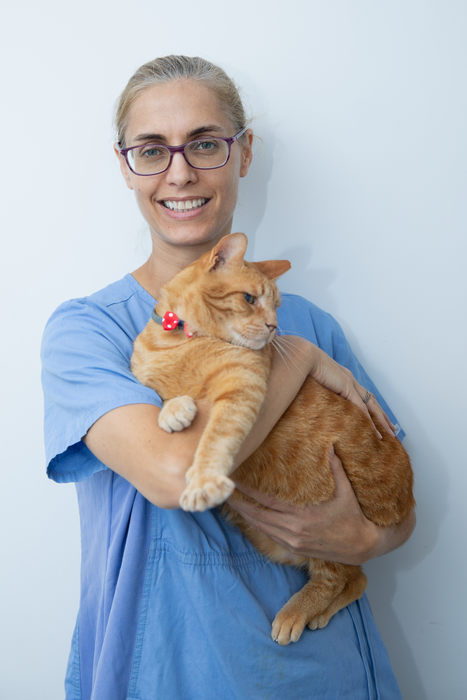 Stray cats: worthy of our love or invasive and destructive?