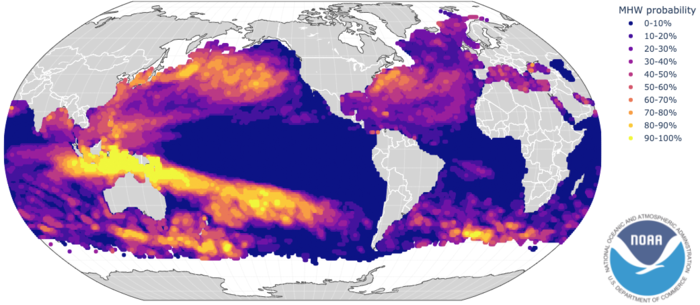 New global forecasts of marine heatwaves foretell ecological and economic impacts.