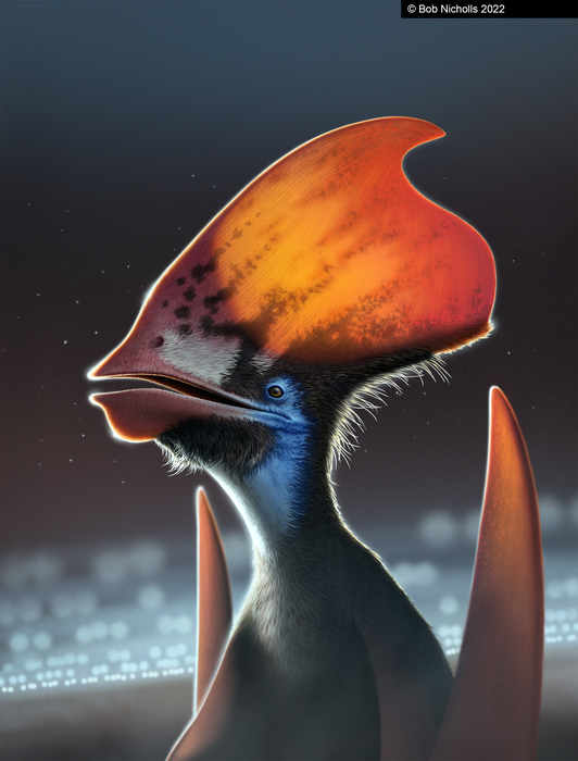 Pterosaur discovery solves ancient feather mystery.