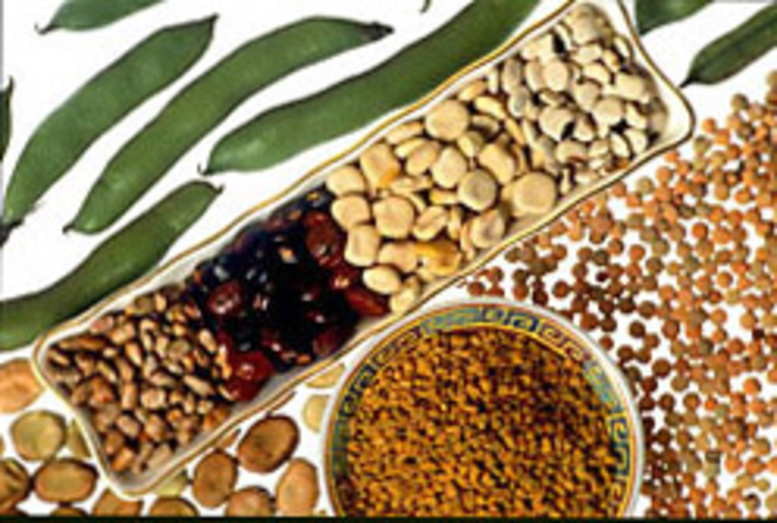 Diets high in fiber associated with less antibiotic resistance in gut bacteria.