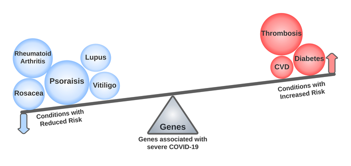 Genetic links revealed between severe COVID-19 and other diseases.