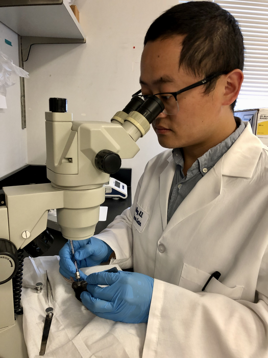 Breast duct treatment for early breast cancer eliminates all signs of disease in laboratory experiments.