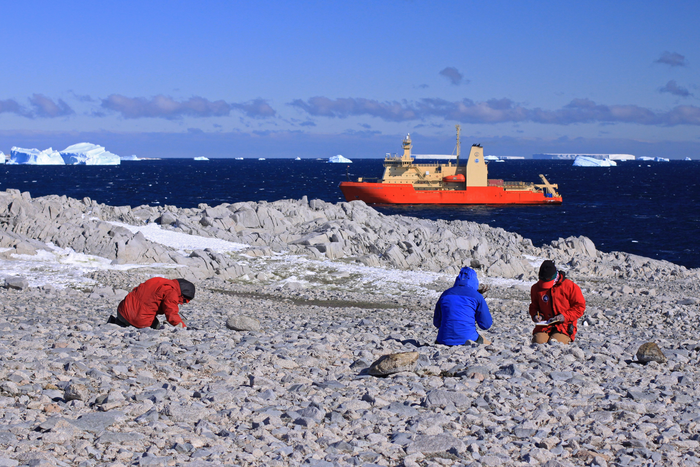 Present Antarctic deglaciation may be unprecedented in last 5,000 years, UMaine study finds.