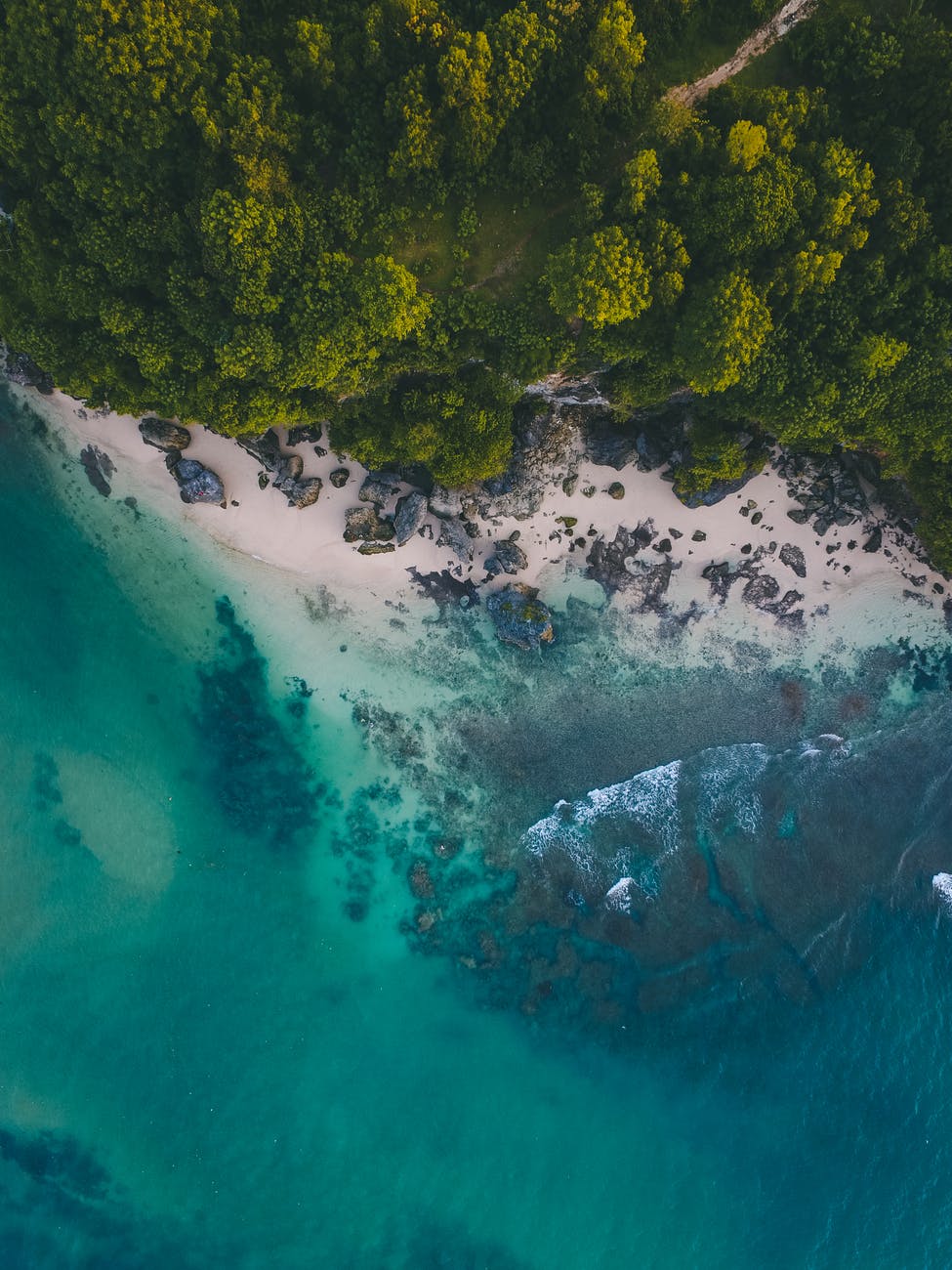 20 years of citizen science backs up findings on coral bleaching.