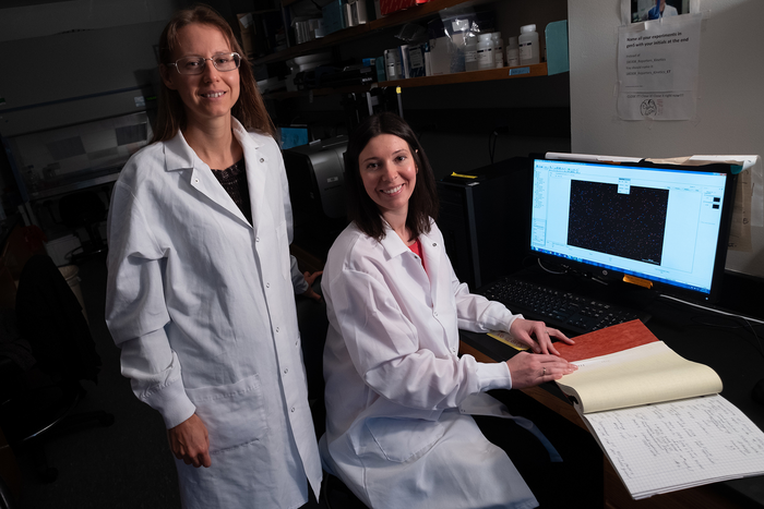 Researchers discover new leukemia-killing compounds.