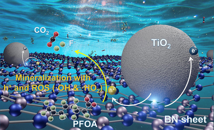 Rice improves catalyst that destroys ‘forever chemicals’ with sunlight.