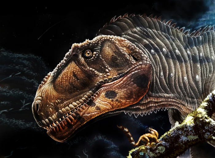 A new giant dinosaur gives insight into why many prehistoric meat-eaters had such tiny arms.
