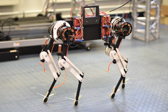 Quick learner: Robot dog picks up walking much quicker than humans.