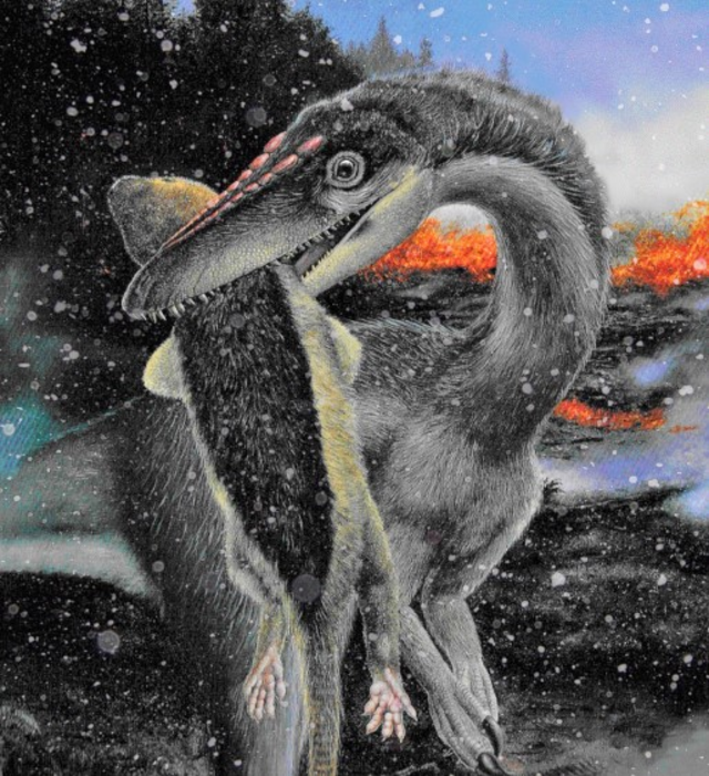 Dinosaurs took over amid ice, not warmth, says a new study of ancient mass extinction.